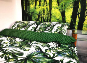 Apartament Green Forest